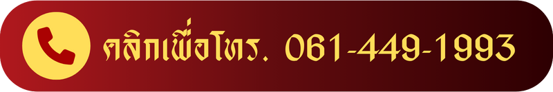 061-449-1993